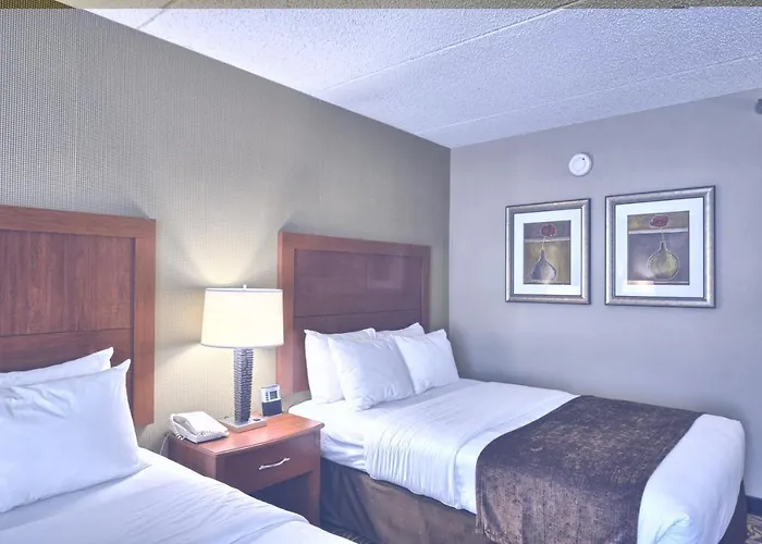 Clarion Inn & Suites - University Area