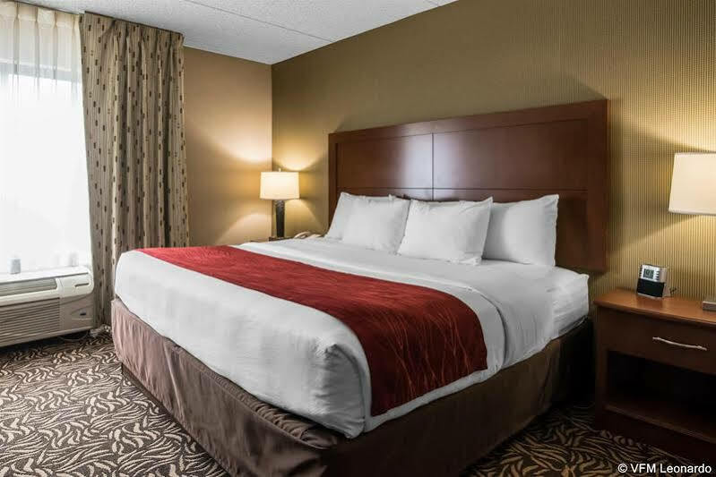 Hotel Clarion & - Area 3*